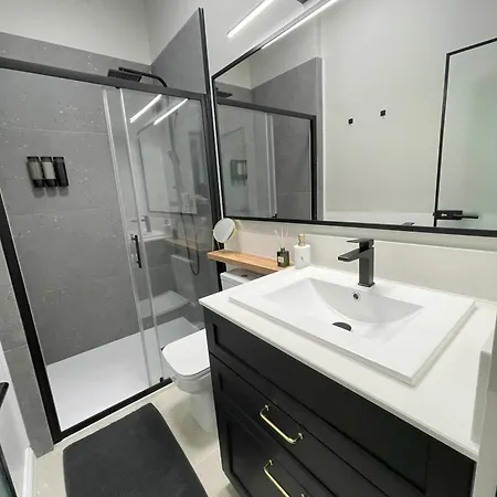 公寓 Olive 扎达尔