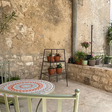 Olive * Ζαντάρ